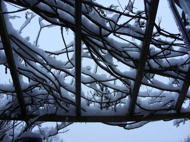 pergola pod sněhem